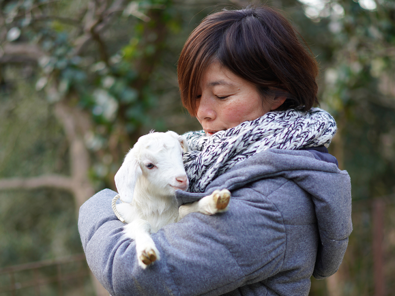 ヤギのふれあい体験 随時 里山カフェ ゲストハウス Sou 千葉県睦沢町 自然に囲まれた1日1組限定の宿とカフェ